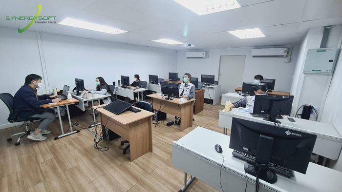 Synergysoft Education Autodesk Revit Architectural Modeling for Large Building Project Training Course