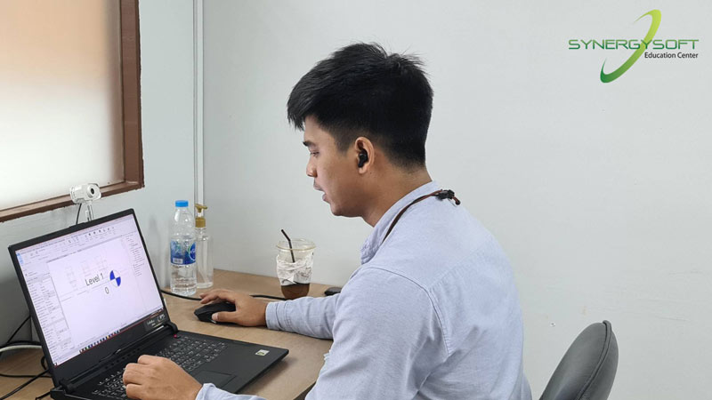 Synergysoft Education Autodesk Revit Sanitary&Fire Protection Modeling for Large Building Project Training Course