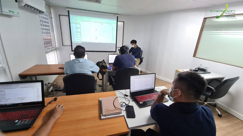 Synergysoft Education Autodesk Revit Sanitary&Fire Protection Modeling for Large Building Project Training Course