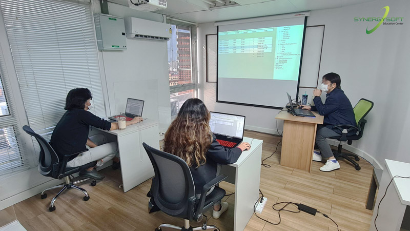 Synergysoft Education Autodesk Revit Basic Course 2022