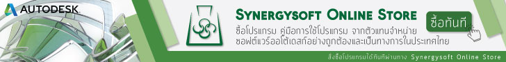 Product for bento Synergysoft Online Store