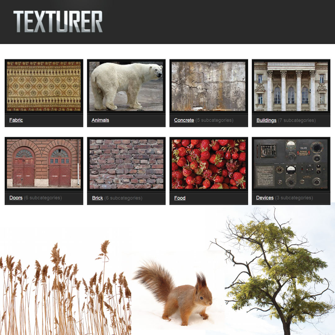 10 Cutout and Texture-7