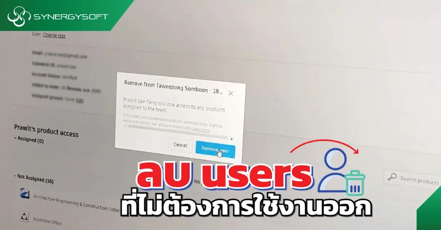 Chang Role Autodesk Account